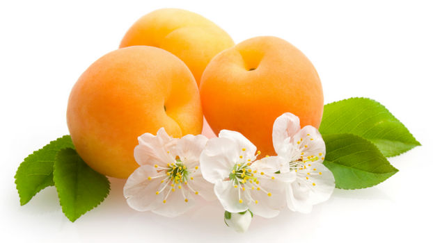 абрикосы